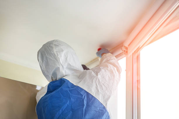 Best Mold Odor Removal Services in Dovesville, SC