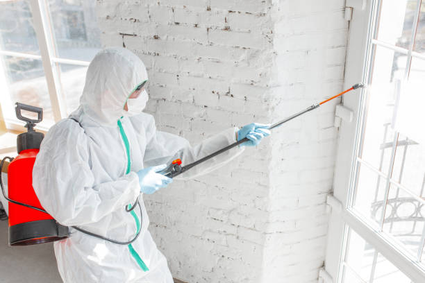 Best Industrial Mold Remediation in Dovesville, SC