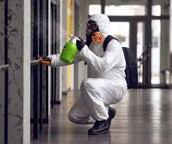 Best Mold Prevention Services in Dovesville, SC